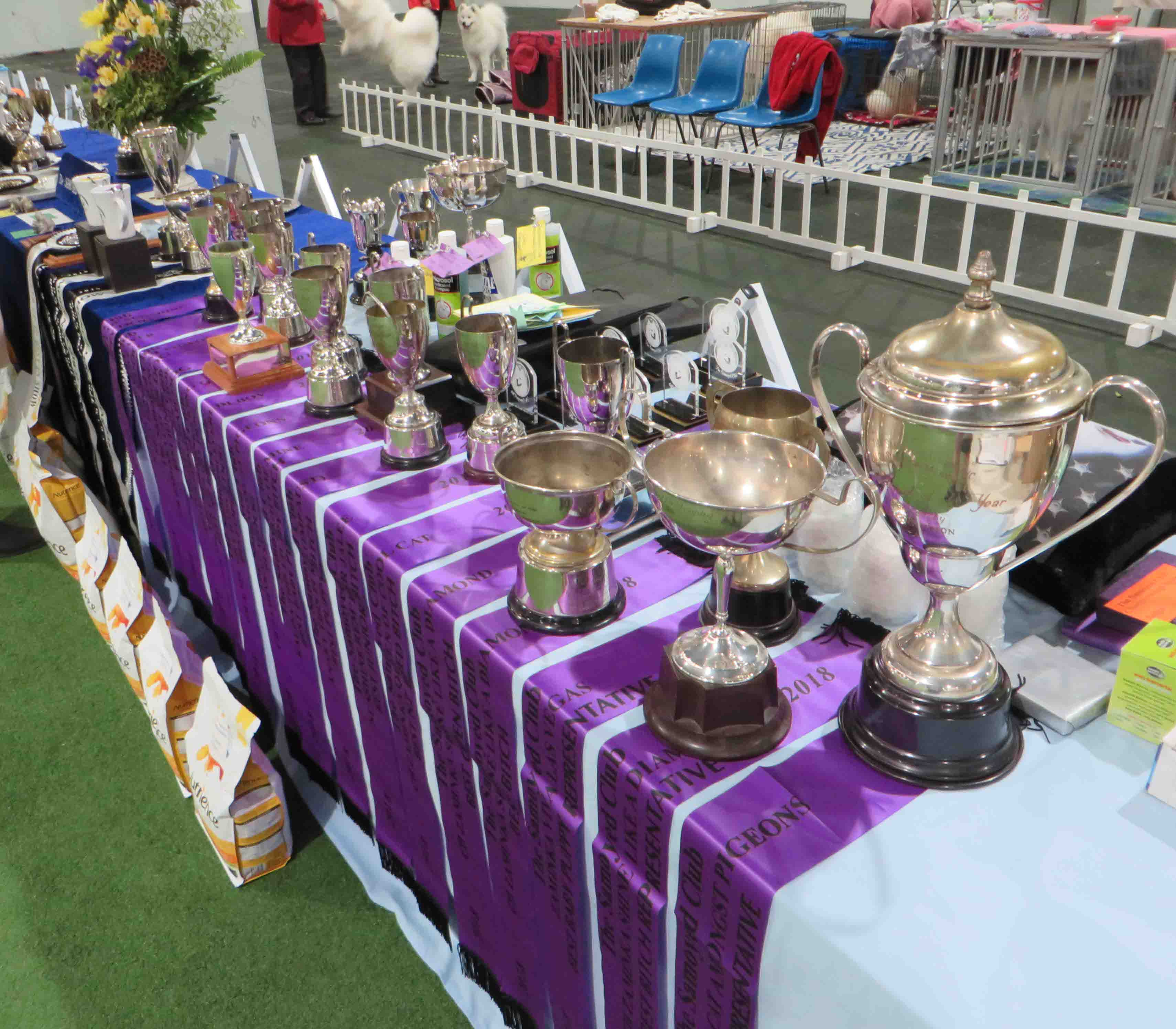 Samoyed Day 20 July 2019 Annual Awardws table