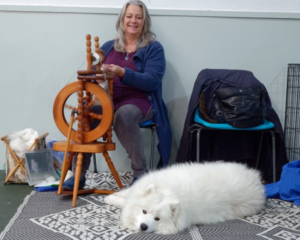 lisa chapman spinning samoyed hair at the samoyed club championship show 1j uly 2016. Printed in  sleigh courier 2016 summer